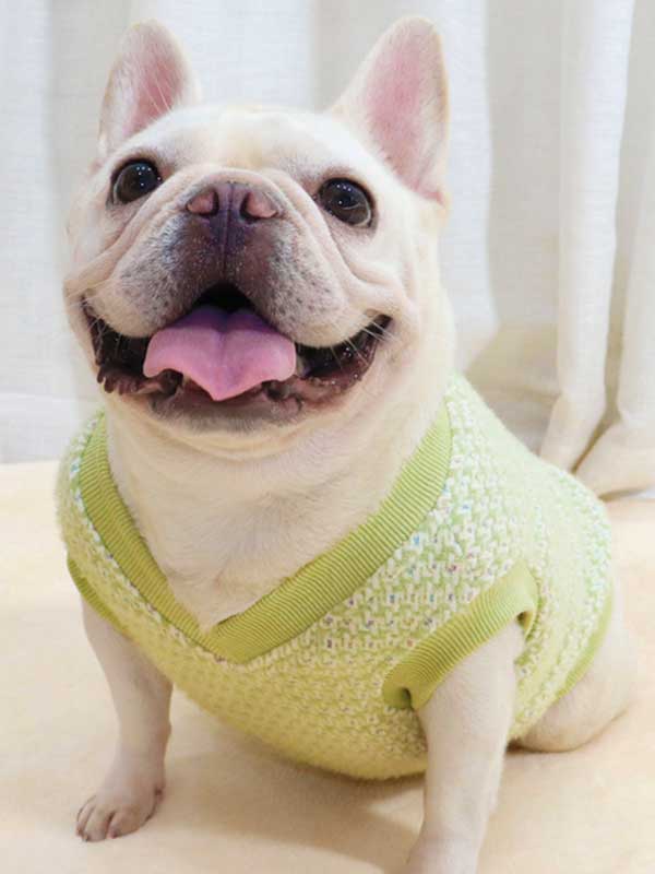 GMTPET Thickened autumn and winter fat dog short body bulldog pug dog lady plush rich rich French fighting clothes v-neck vest vest 107-222012 www.petproduct.com.cn