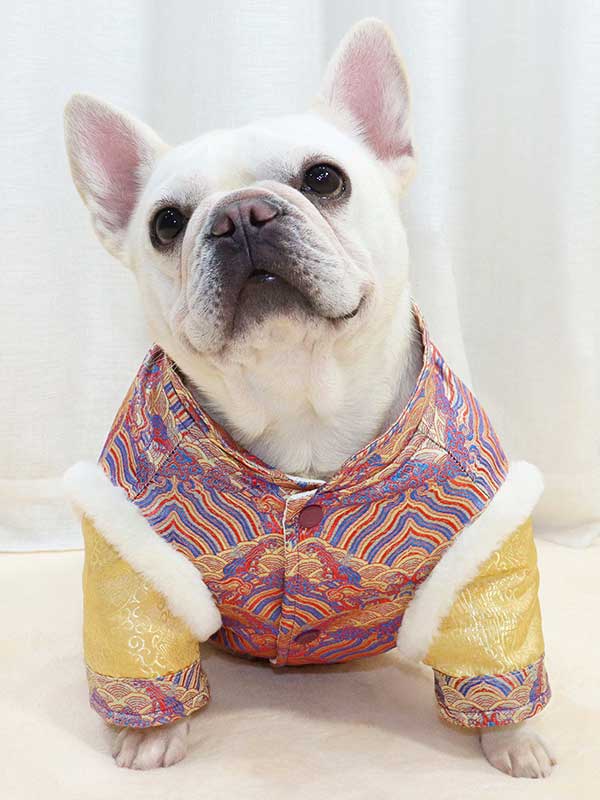 GMTPET French fighting Chinese New Year’s clothing New Year’s clothing Tang suit Chinese style fat dog bulldog dog clothes thickened rabbit fur jacket cotton coat 107-222013 www.petproduct.com.cn