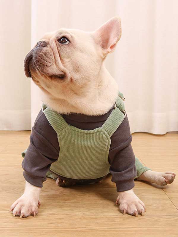 GMTPET French fighting clothes high elastic comfortable solid color plus velvet thick bottoming shirt T-shirt bulldog dog clothes 107-222016 www.petproduct.com.cn
