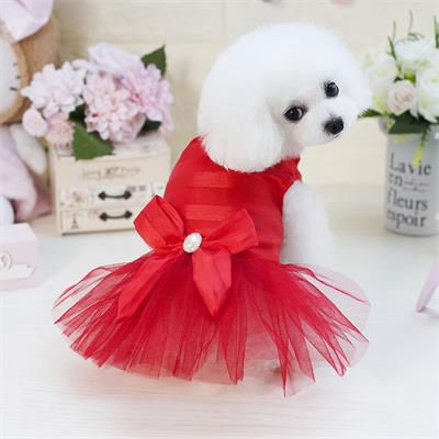 Wholesale Clothes: Plain Dog TShirts Cotton Clothes 06-0361 Pet Products Factory, OEM Manufacturer, Supplier, Agent www.petproduct.com.cn 06-0361