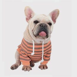 Dog Clothes: Striped Rabbit Lambskin Hoodie