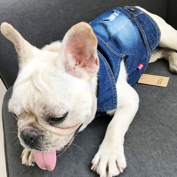 Pet Cowboy Skirt Amazon Hot Dog Clothes Dog Denim Skirt 06-0206 Pet Cowboy Skirt Amazon Hot Dog Clothes Dog Denim Skirt 06-0206