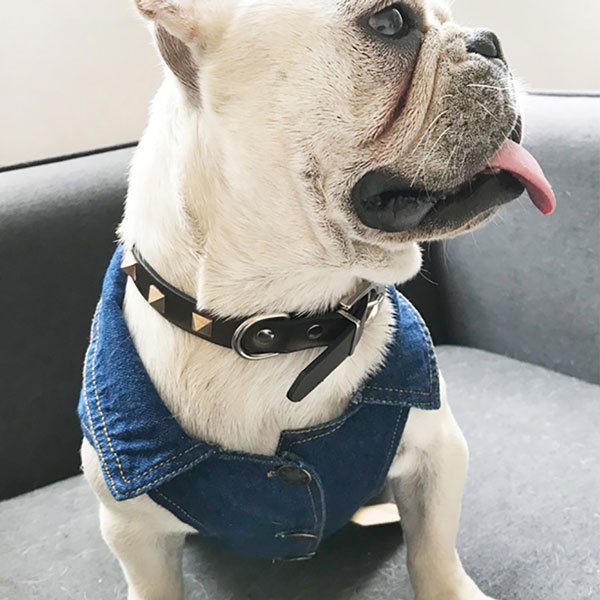 Pet Cowboy Skirt Amazon Hot Dog Clothes Dog Denim Skirt 06-0206 Pet Cowboy Skirt Amazon Hot Dog Clothes Dog Denim Skirt 06-0206