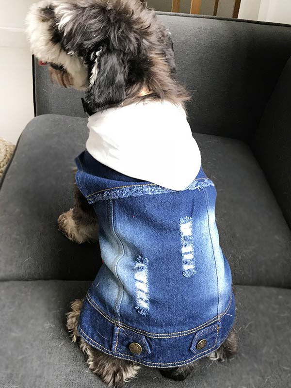 Denim fabric pet dog clothes 06-0208 Denim fabric pet dog clothes 06-0208