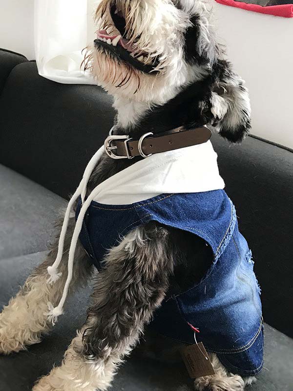 Denim fabric pet dog clothes 06-0208 Denim fabric pet dog clothes 06-0208