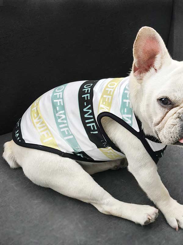 Dog and Human Clothes: Stripe Cooling Clothes 06-0506 Pet Products Factory, OEM Manufacturer, Supplier, Agent www.petproduct.com.cn Dog and Human Clothes Stripe Cooling Clothes 06-0506