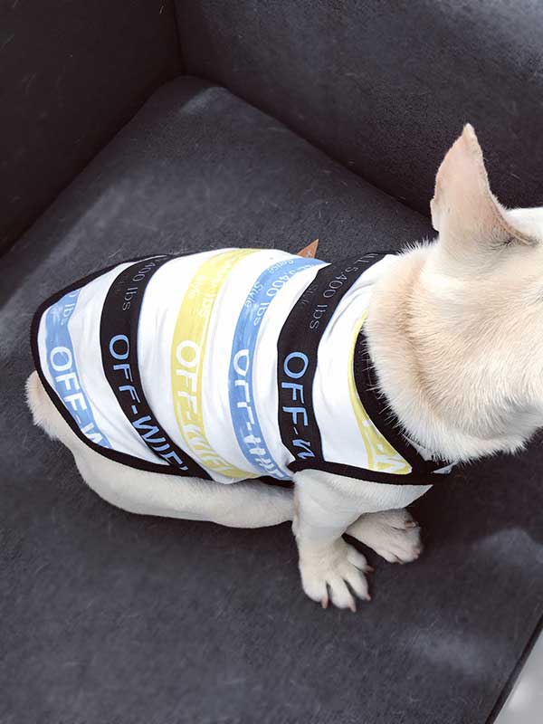 Dog and Human Clothes: Stripe Cooling Clothes 06-0506 Pet Products Factory, OEM Manufacturer, Supplier, Agent www.petproduct.com.cn Dog and Human Clothes Stripe Cooling Clothes 06-0506