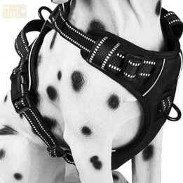 Pet Factory wholesale Amazon Ebay Wish hot large mesh dog harness 109-0001 www.petproduct.com.cn