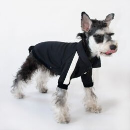 Sport Pet Clothes Custom Fashion Dog BomberJacket Blank Dog Clothes www.petproduct.com.cn