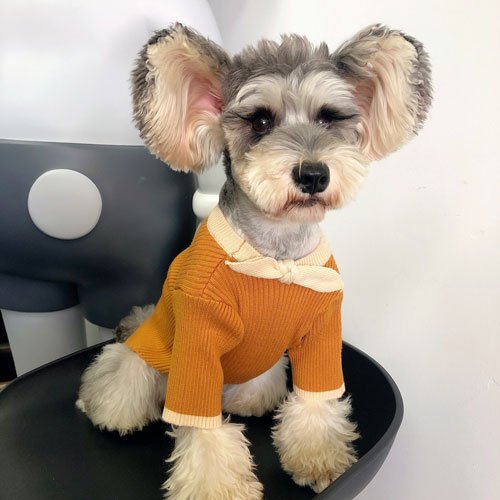 Dog Sweater Bowknot Plain Knit Sweater Cute Cat Winter Clothing Pet Clothes Pet Accessories Pet Products Factory, OEM Manufacturer, Supplier, Agent www.petproduct.com.cn Dog Sweater Bowknot Plain Knit Sweater Cute Cat Winter Clothing Pet Clothes Pet Accessories