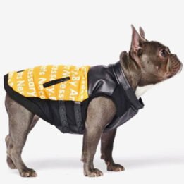 Pet Dog Clothes Vest Padded Dog Jacket Cotton Clothing for Winter www.petproduct.com.cn