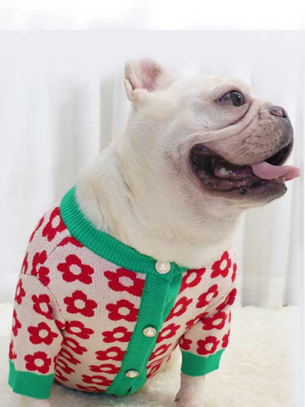 GMTPET French Dou Autumn Sweater New Autumn and Winter Dog Clothes Bulldog Sweater Flower Cardigan Button Cartoon Short Body Fat Dog Sweater 107-222033