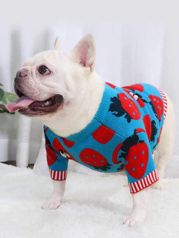 New autumn and winter dog clothes bulldog sweater strawberry cartoon short body fat dog method fighting autumn sweater 107-222041 www.petproduct.com.cn
