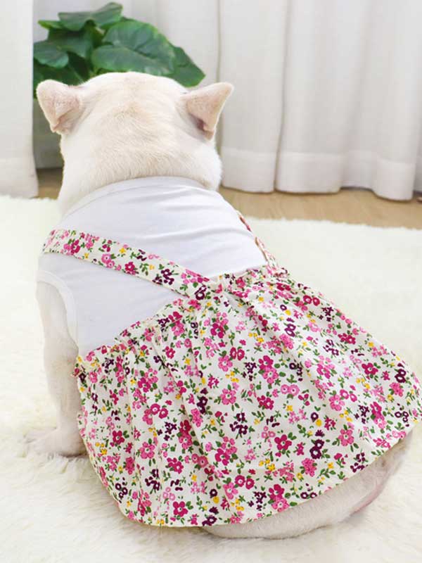 Ropa para perros y mascotas Camisa de fondo Camiseta Ropa de algodón Vestido 107-222043 www.petproduct.com.cn