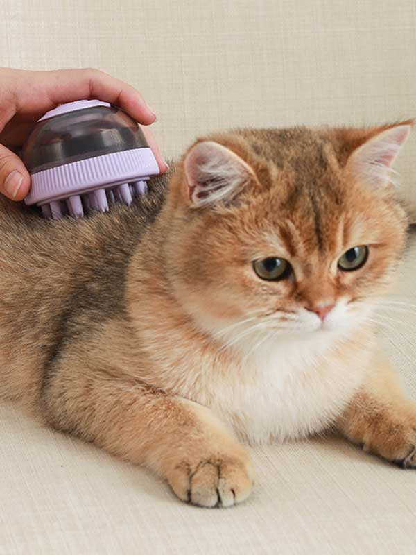 Wholesale OEM Multi-functional UFO Styling pet bath Brush 124-235005 Pet Products Factory, OEM Manufacturer, Supplier, Agent www.petproduct.com.cn Wholesale OEM Multi-functional UFO Styling pet cat dog bath Brush