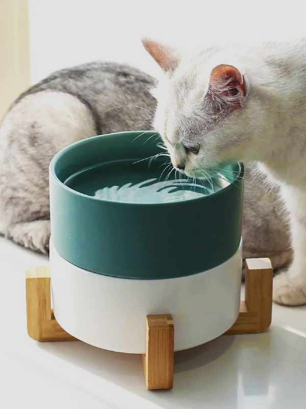 Tigela de cerâmica para gatos de estimação por atacado de fábrica com tigelas de suporte de bambu 123-12002 Pet Products Factory, OEM Manufacturer, Supplier, Agent www.petproduct.com.cn Factory Wholesale Ceramic Pet Cat bowl with Bamboo Stand Bowls